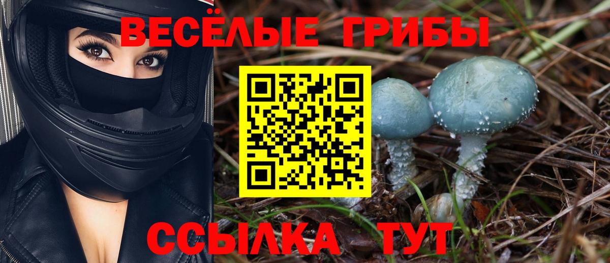 Псилоцибиновые грибы GOLDEN TEACHER  Вход с VPN  Дмитров 