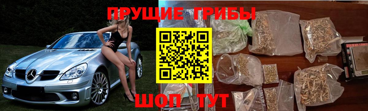 Галлюциногенные грибы мицелий Дмитров